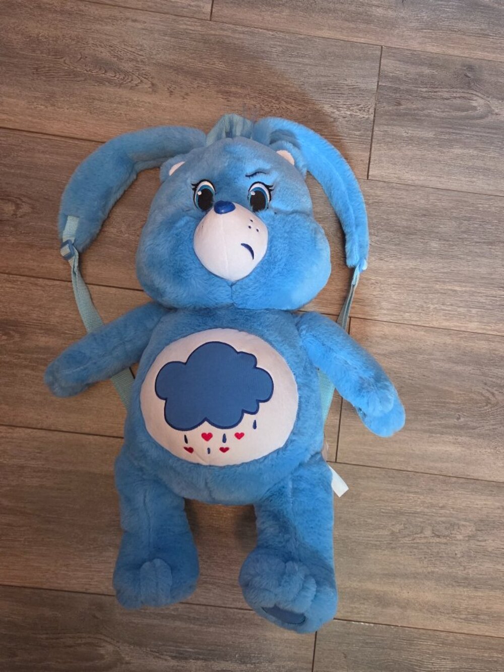 Care Bears Fun.com Grumpy bear plush backpack!